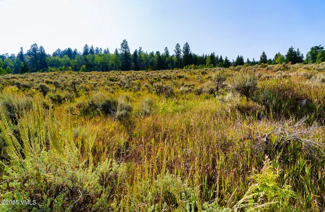 a view of a lake with a mountain in the background