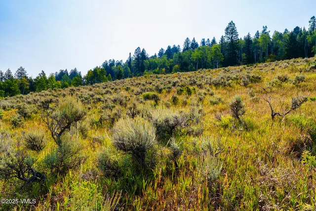 a view of a lush green field with mountains in the background