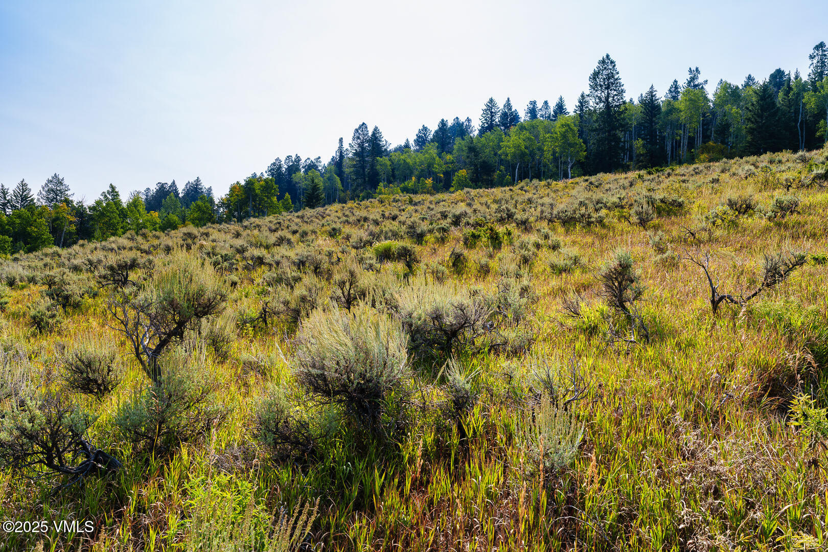 534 Graham Road Edwards, CO 81632 - Photo 26 of 54 a view of a yard