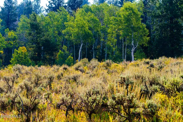 a view of a backyard with plants and lake view