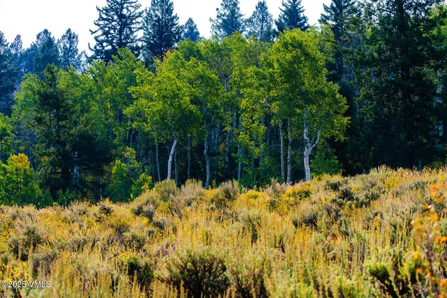 a view of outdoor space and mountain view