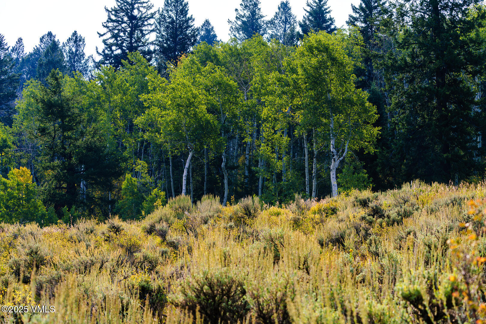 534 Graham Road Edwards, CO 81632 - Photo 33 of 54 534_Graham_Lot_53_036