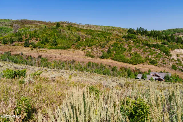 a view of a lake with a mountain