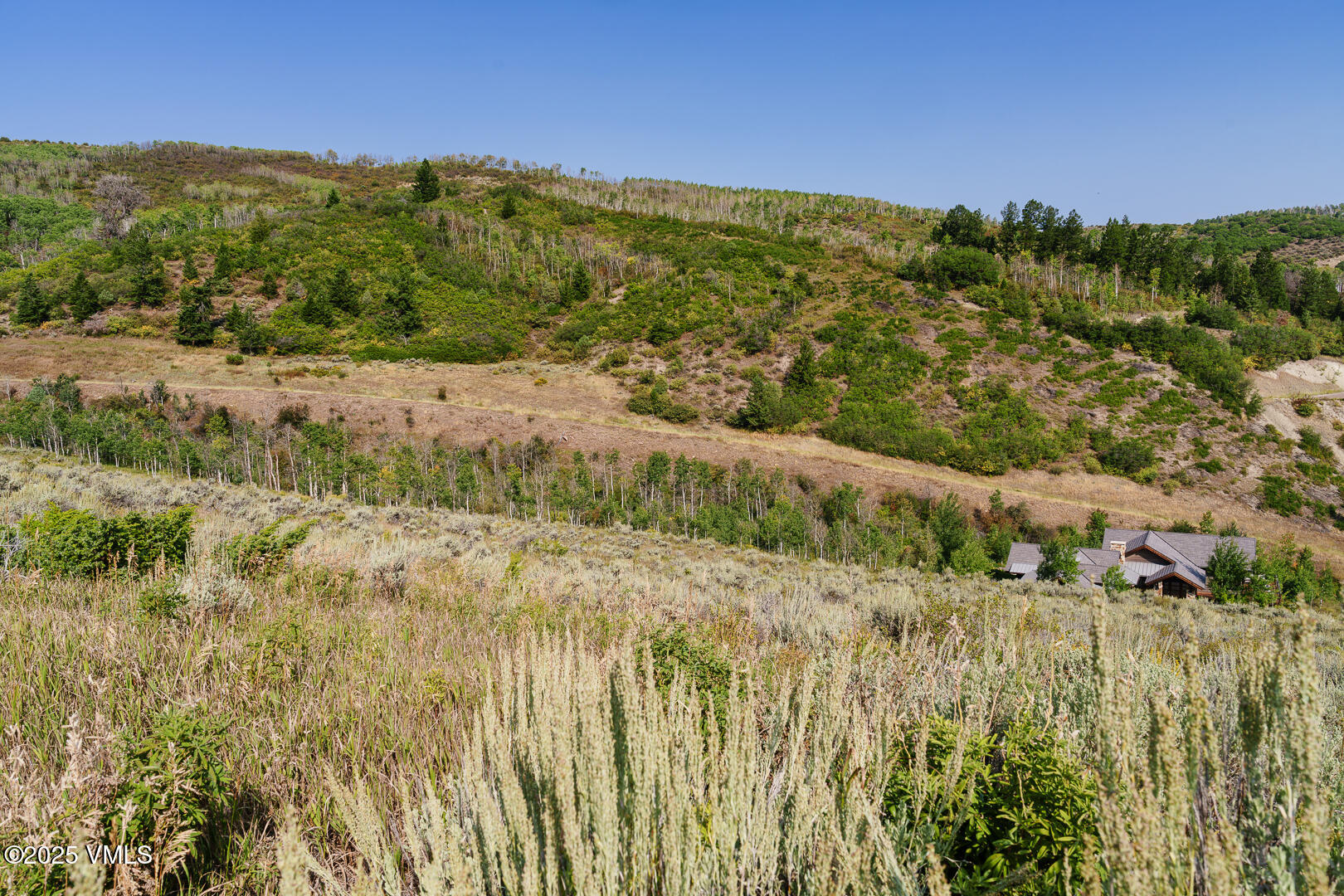 534 Graham Road Edwards, CO 81632 - Photo 36 of 54 a view of a lake with a mountain in the background