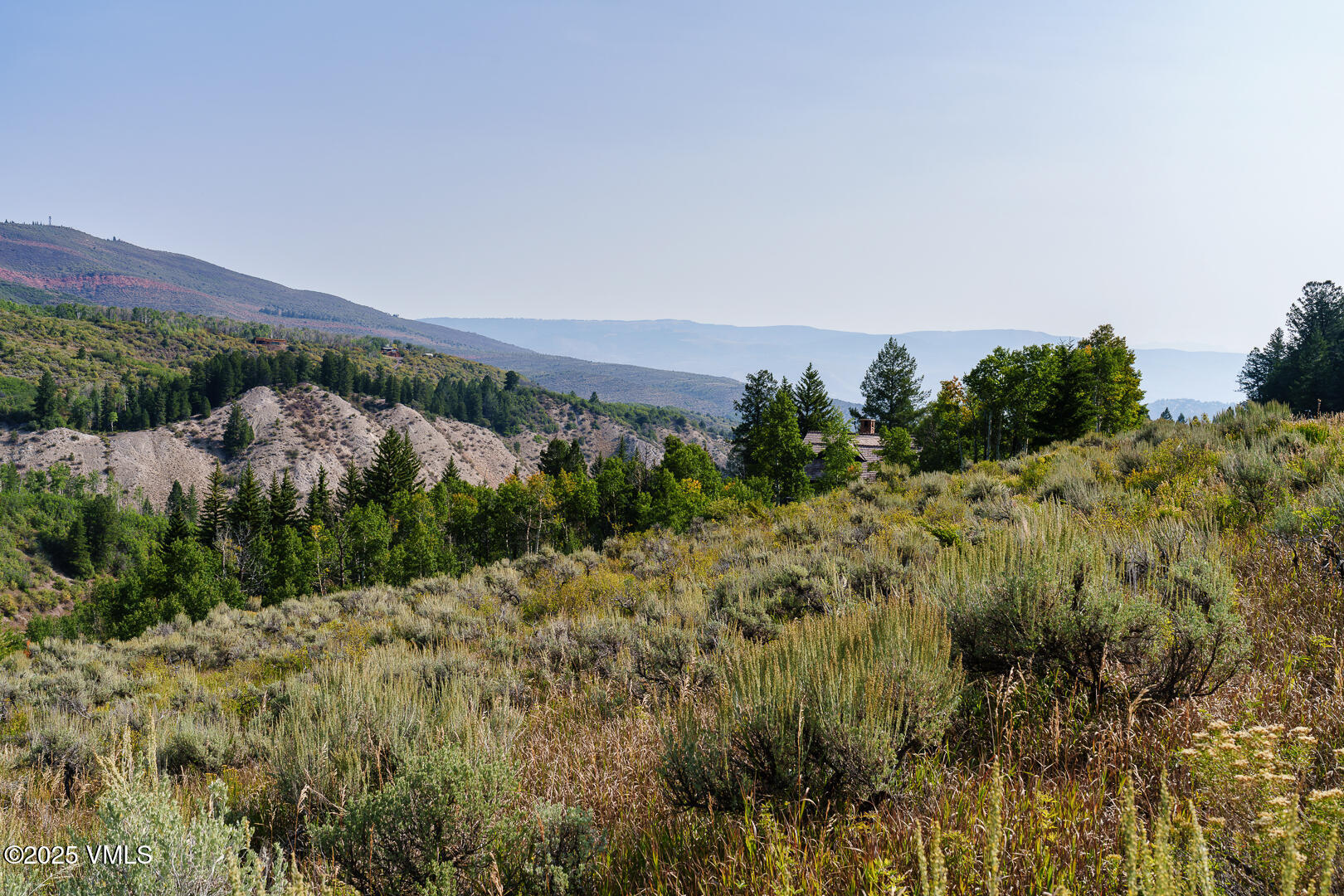 534 Graham Road Edwards, CO 81632 - Photo 39 of 54 a view of a bunch of trees and bushes