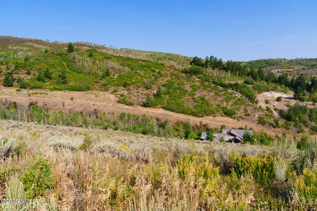 a view of a pathway with a park