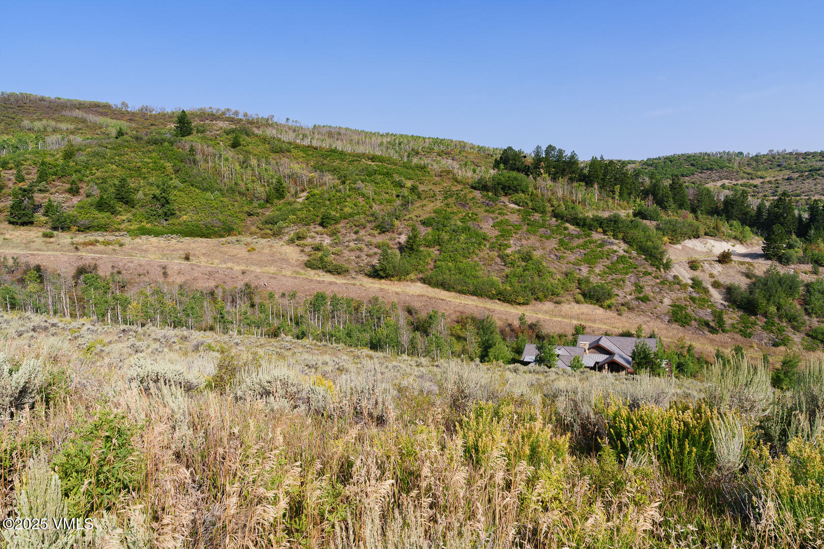 534 Graham Road Edwards, CO 81632 - Photo 5 of 54 a view of a yard with a ocean