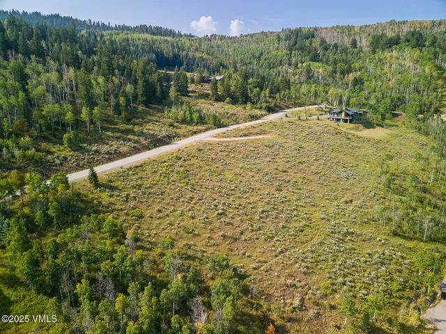 $295,000 | 534 Graham Road, Edwards, CO 81632