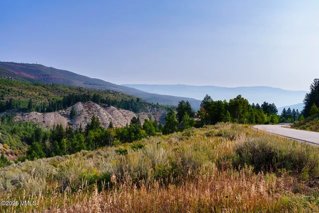a view of a large yard with lots of palm trees