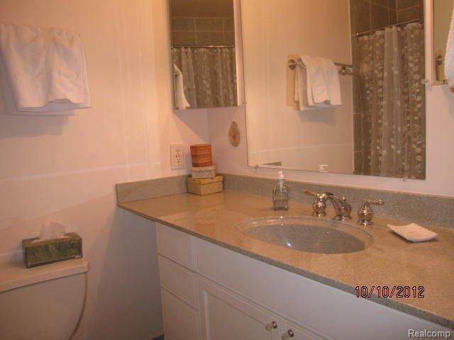 42484 Saratoga Road, Unit 15 Canton, MI 48187 - Photo 9 of 16 Gorgeous remodeled main bath