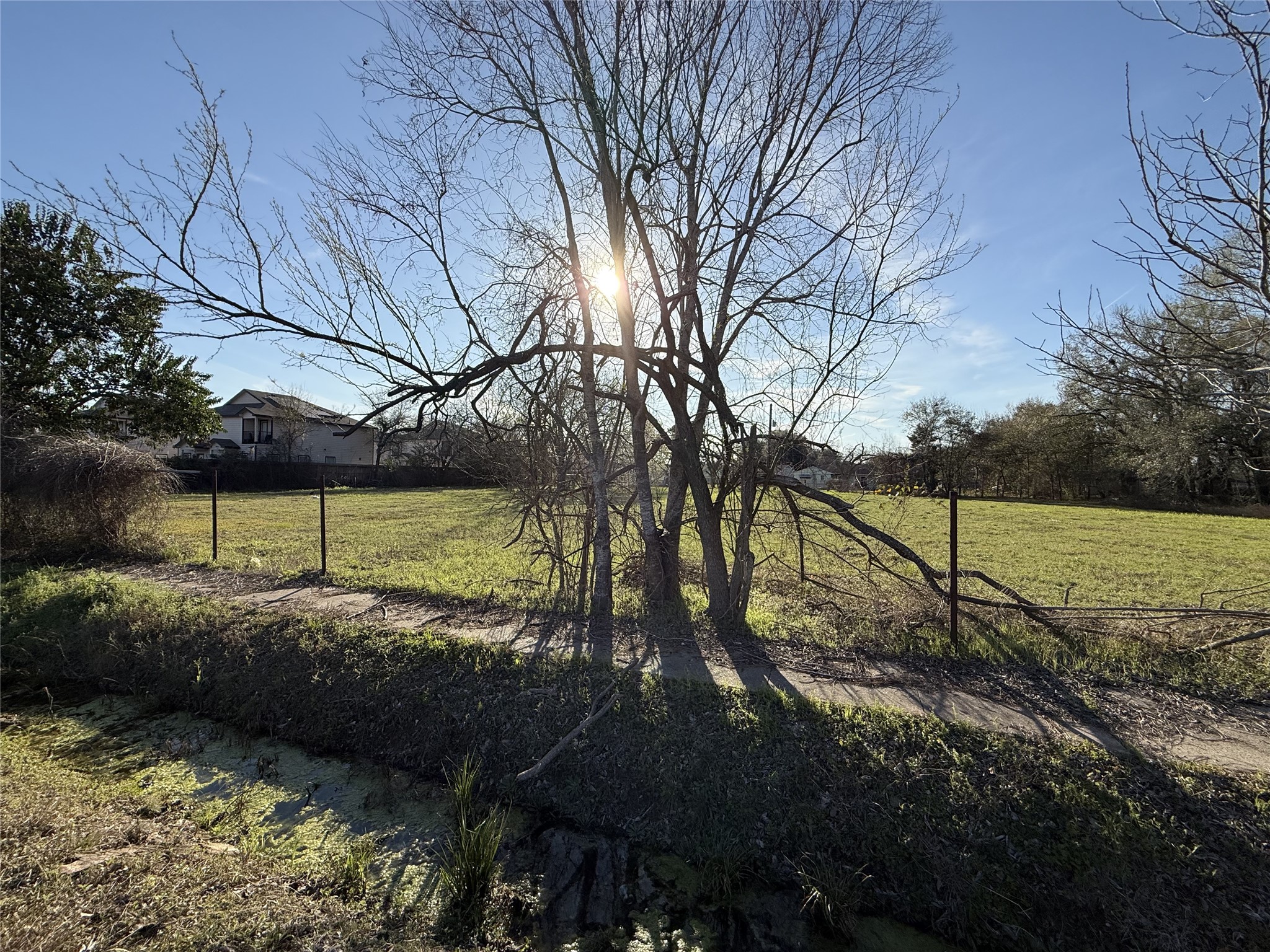 8935 Jutland Road Houston, TX 77033 - Photo 3 of 14 a view of a backyard with wooden fence