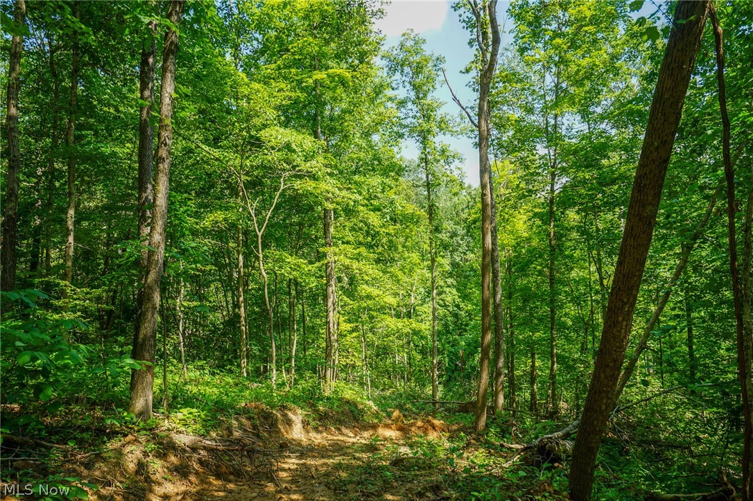 Featherstone Road Stewart, OH 45778 - Photo 20 of 35