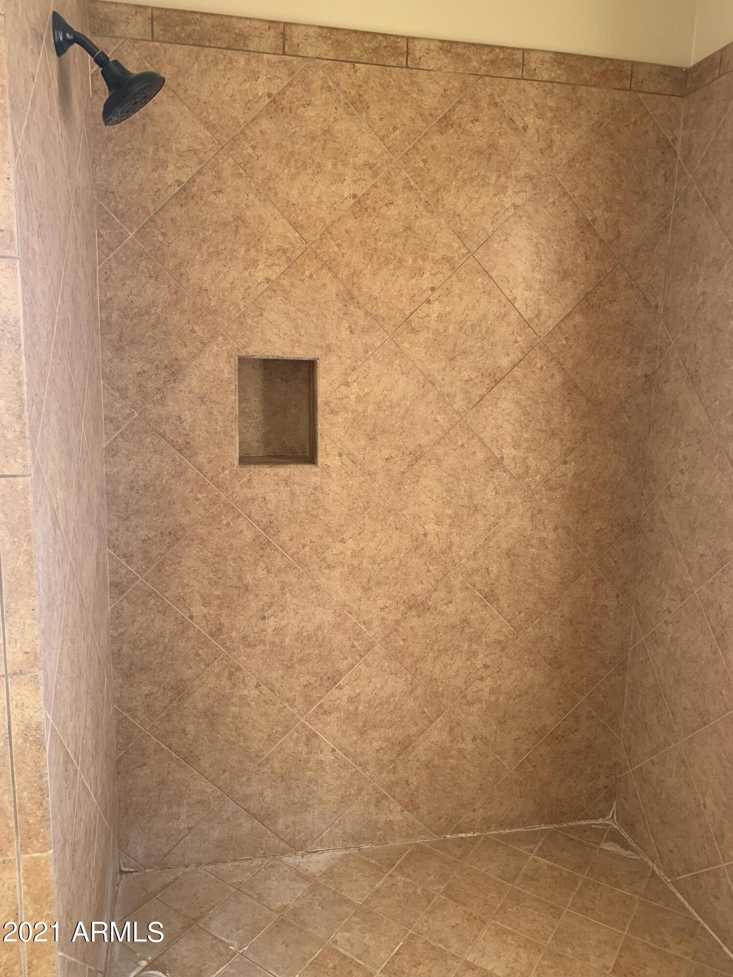 16705 West Quail Run Road Surprise, AZ 85387 - Photo 35 of 48 master bath