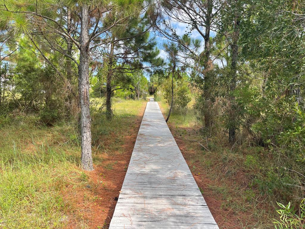 Lot 2 McCosh Mill Road Port St. Joe, FL 32456 - Photo 16 of 28