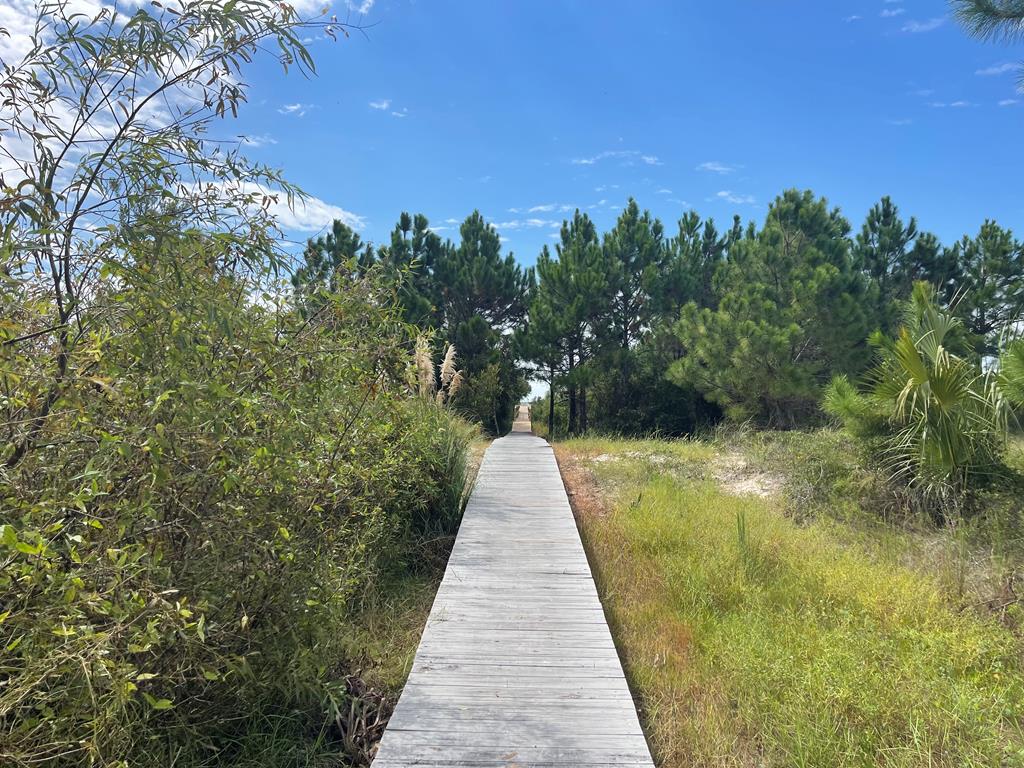 Lot 2 McCosh Mill Road Port St. Joe, FL 32456 - Photo 17 of 28