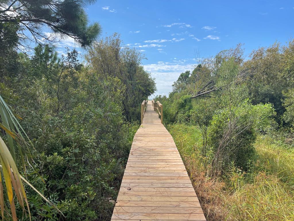Lot 2 McCosh Mill Road Port St. Joe, FL 32456 - Photo 18 of 28