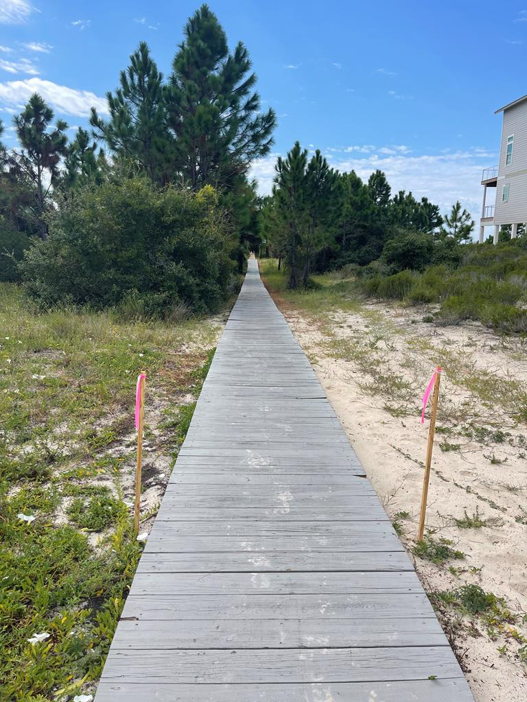 Lot 2 McCosh Mill Road Port St. Joe, FL 32456 - Photo 20 of 28