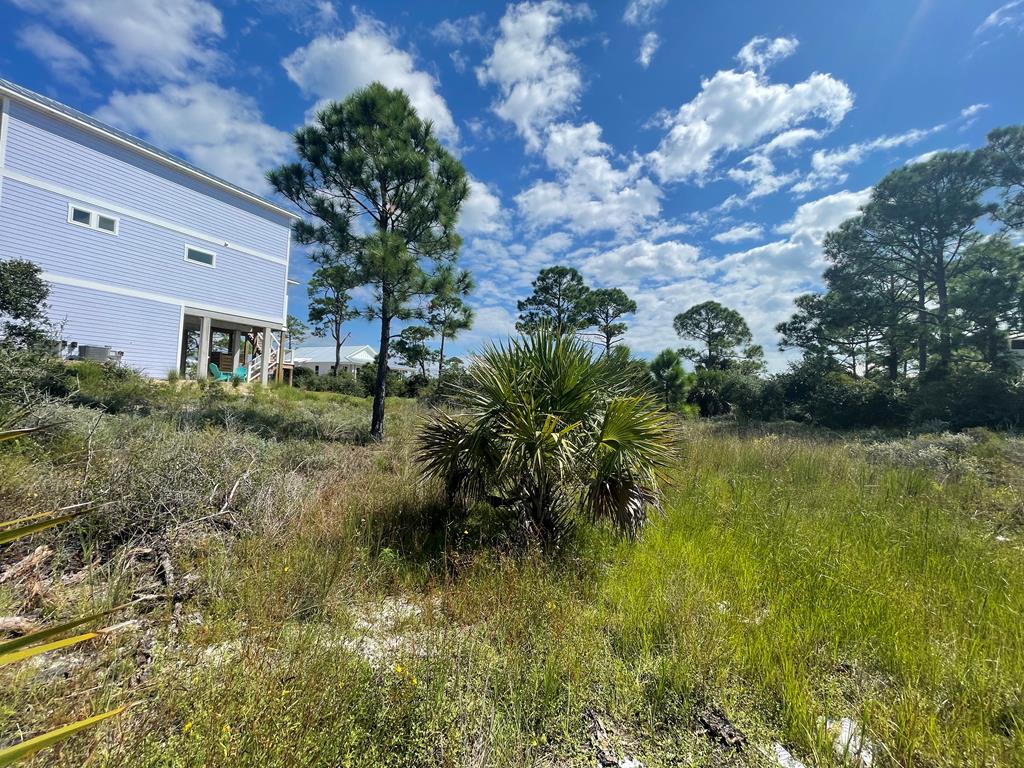 Lot 2 McCosh Mill Road Port St. Joe, FL 32456 - Photo 2 of 28