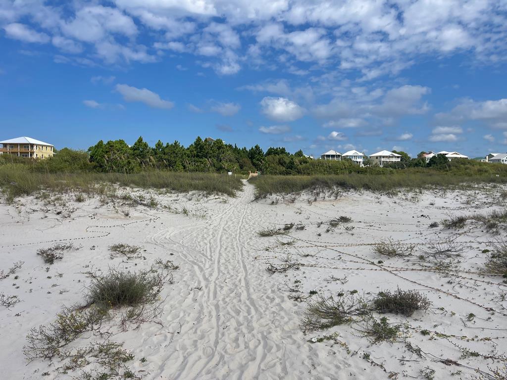 Lot 2 McCosh Mill Road Port St. Joe, FL 32456 - Photo 25 of 28