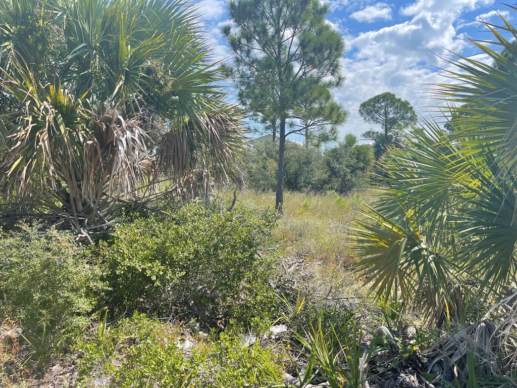 Lot 2 McCosh Mill Road Port St. Joe, FL 32456 - Photo 3 of 28