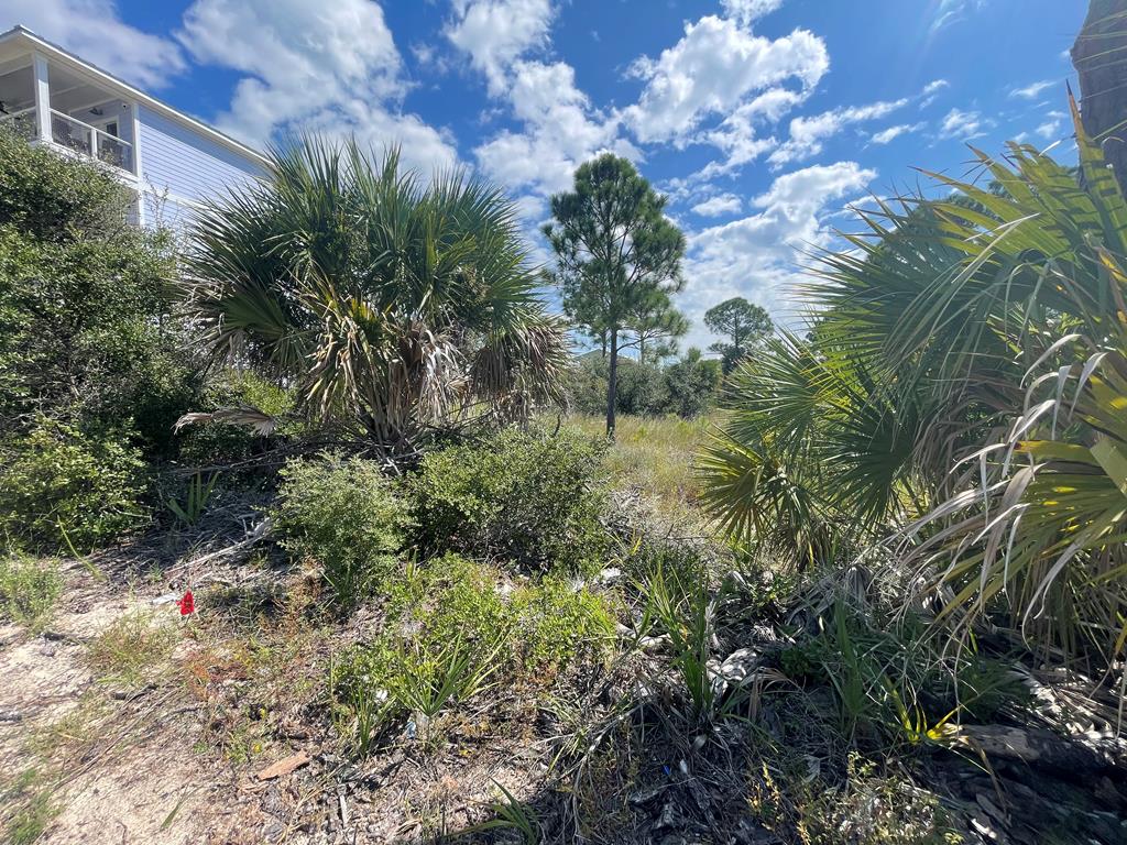Lot 2 McCosh Mill Road Port St. Joe, FL 32456 - Photo 5 of 28