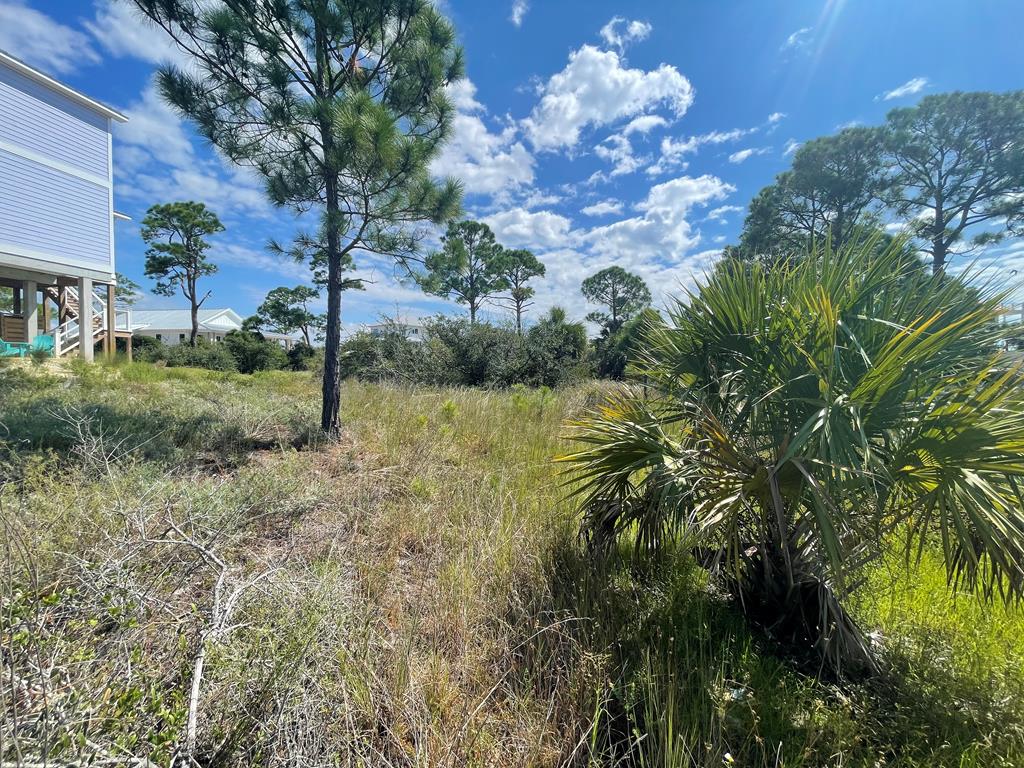 Lot 2 McCosh Mill Road Port St. Joe, FL 32456 - Photo 6 of 28