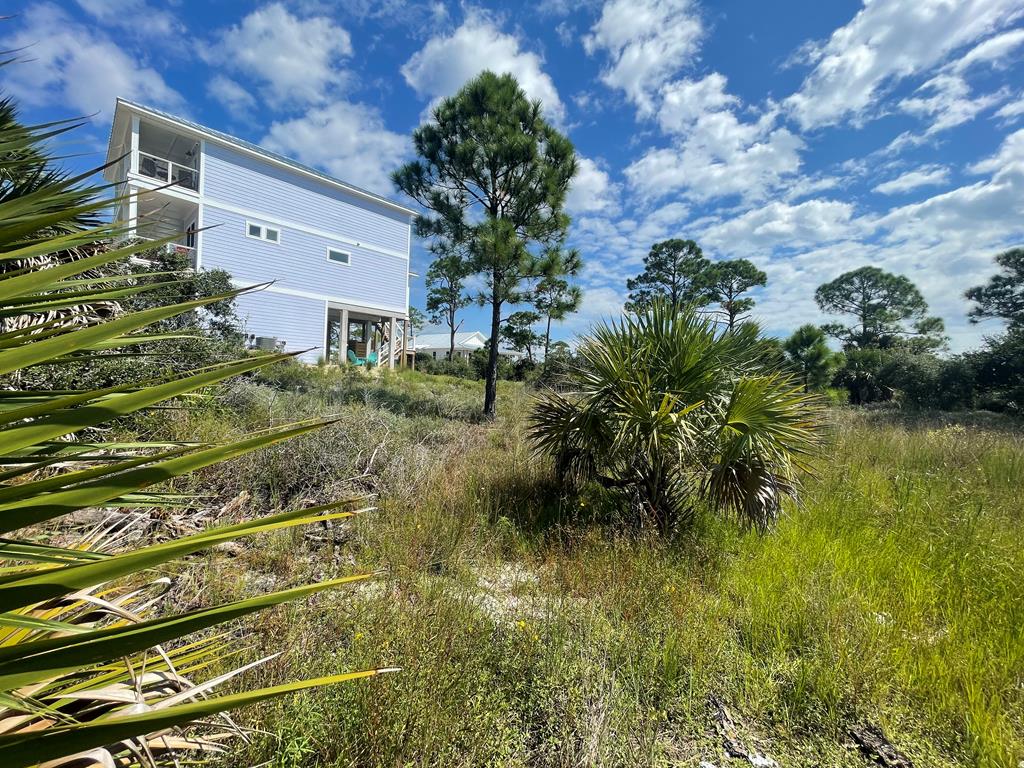 Lot 2 McCosh Mill Road Port St. Joe, FL 32456 - Photo 7 of 28