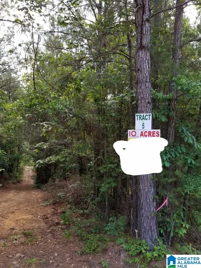 5 Charles Taylor Road, Unit 5 Vance, AL 35490 - Photo 3 of 7