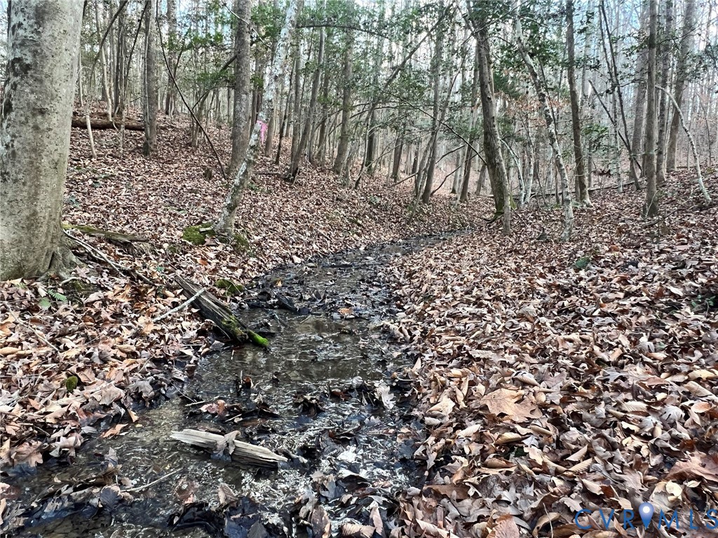 0 Tunstall Road New Kent, VA 23124 - Photo 15 of 19 View of nature