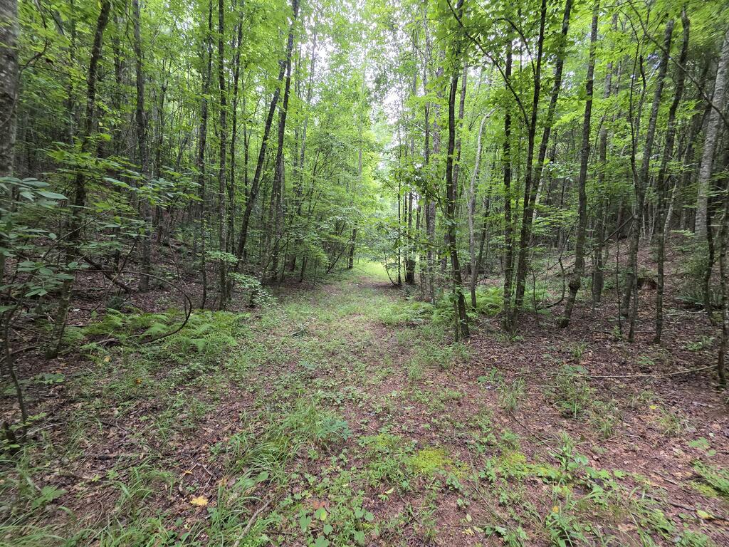34.98 Hall Road Farner, TN 37333 - Photo 15 of 45 Gallery Image 15