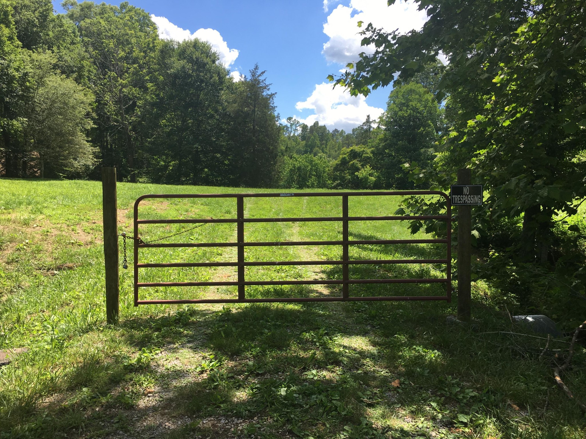 300 Timber Creek Road Maynardville, TN 37807 - Photo 1 of 17 a view of a bench in a garden