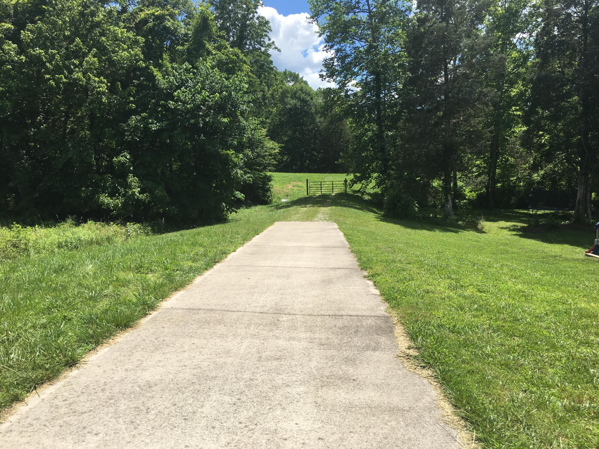 300 Timber Creek Road Maynardville, TN 37807 - Photo 2 of 17 a view of park with large trees