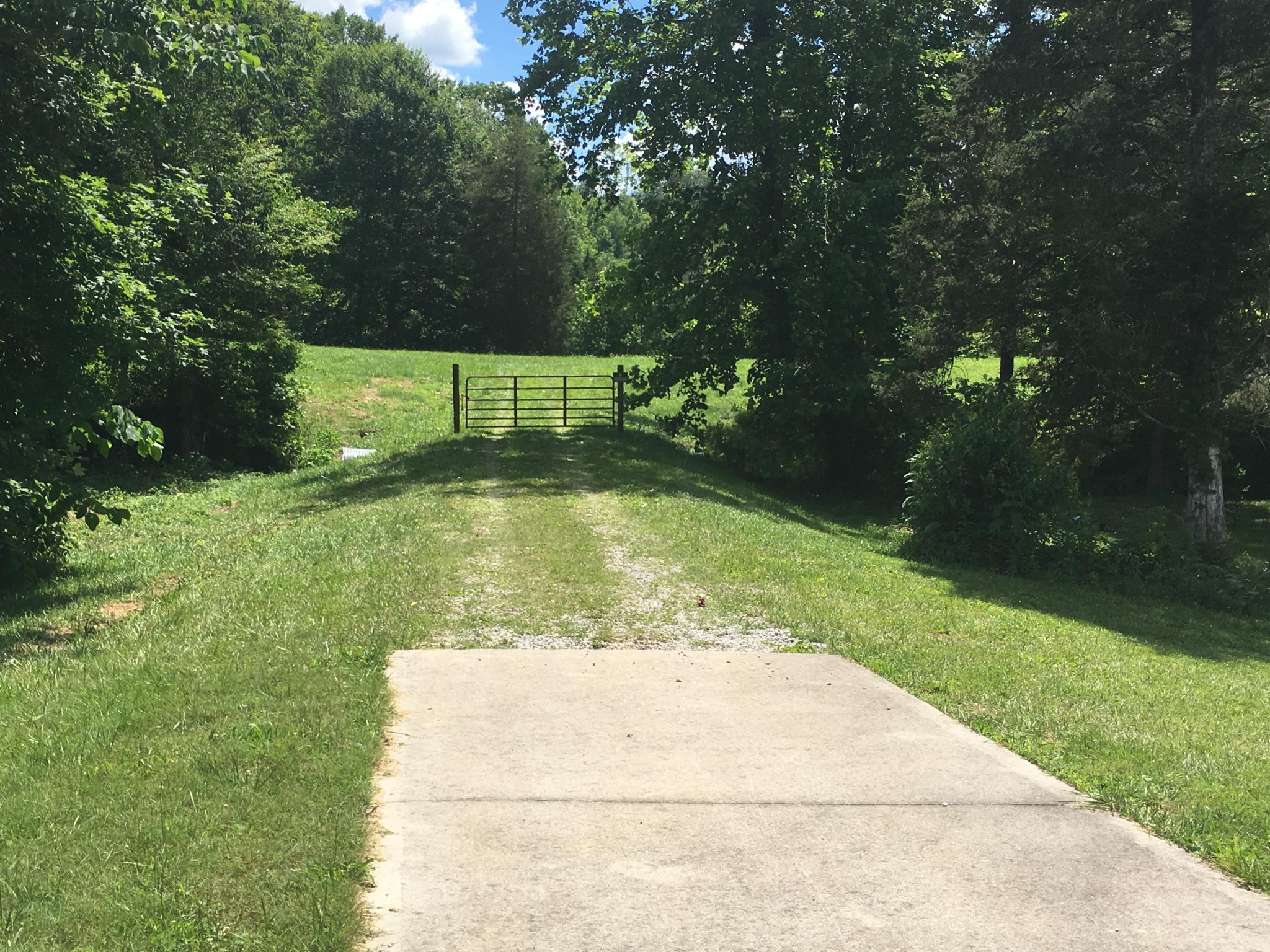 300 Timber Creek Road Maynardville, TN 37807 - Photo 6 of 17 a view of a backyard