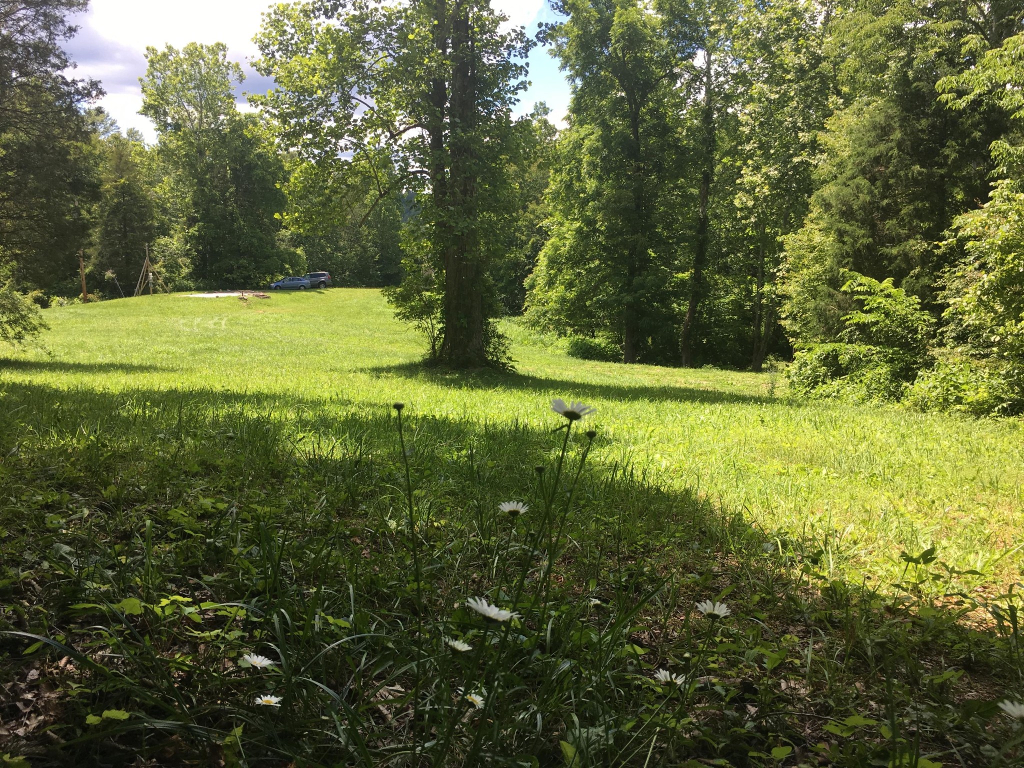 300 Timber Creek Road Maynardville, TN 37807 - Photo 7 of 17 a view of a field with a tree