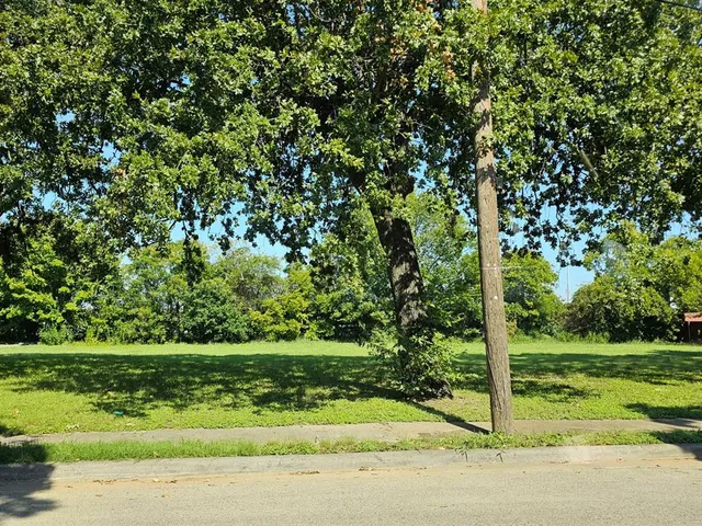 a view of a garden with a tree