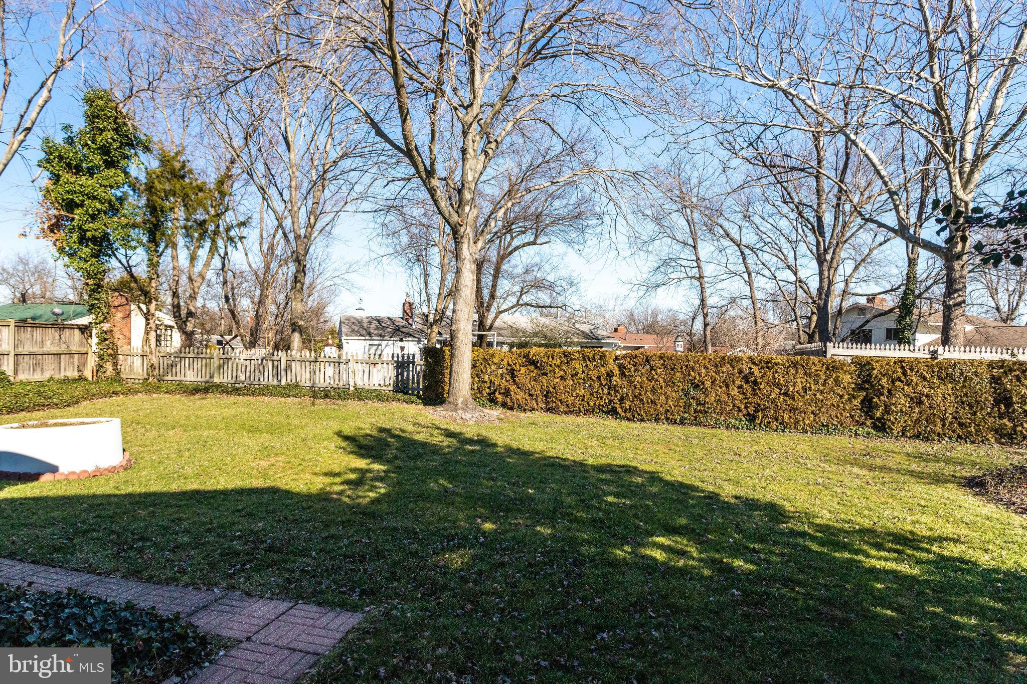 6424 Meriwether Lane Springfield, VA 22150 - Photo 35 of 39 Rear Yard