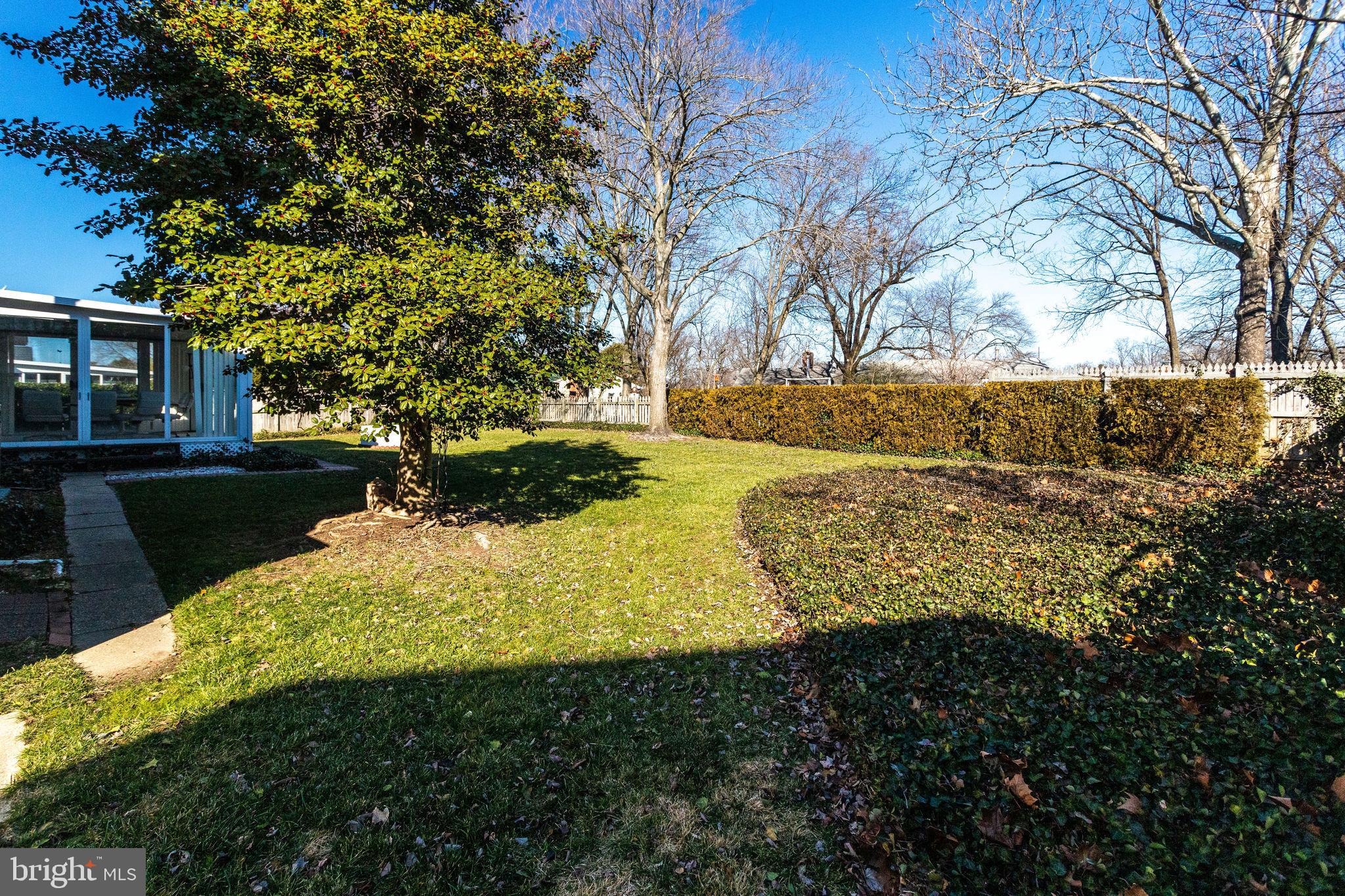 6424 Meriwether Lane Springfield, VA 22150 - Photo 39 of 39 Rear yard