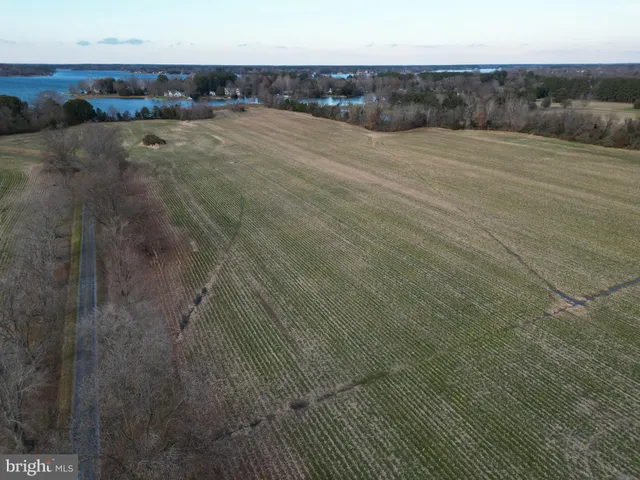 a view of an outdoor space and a yard