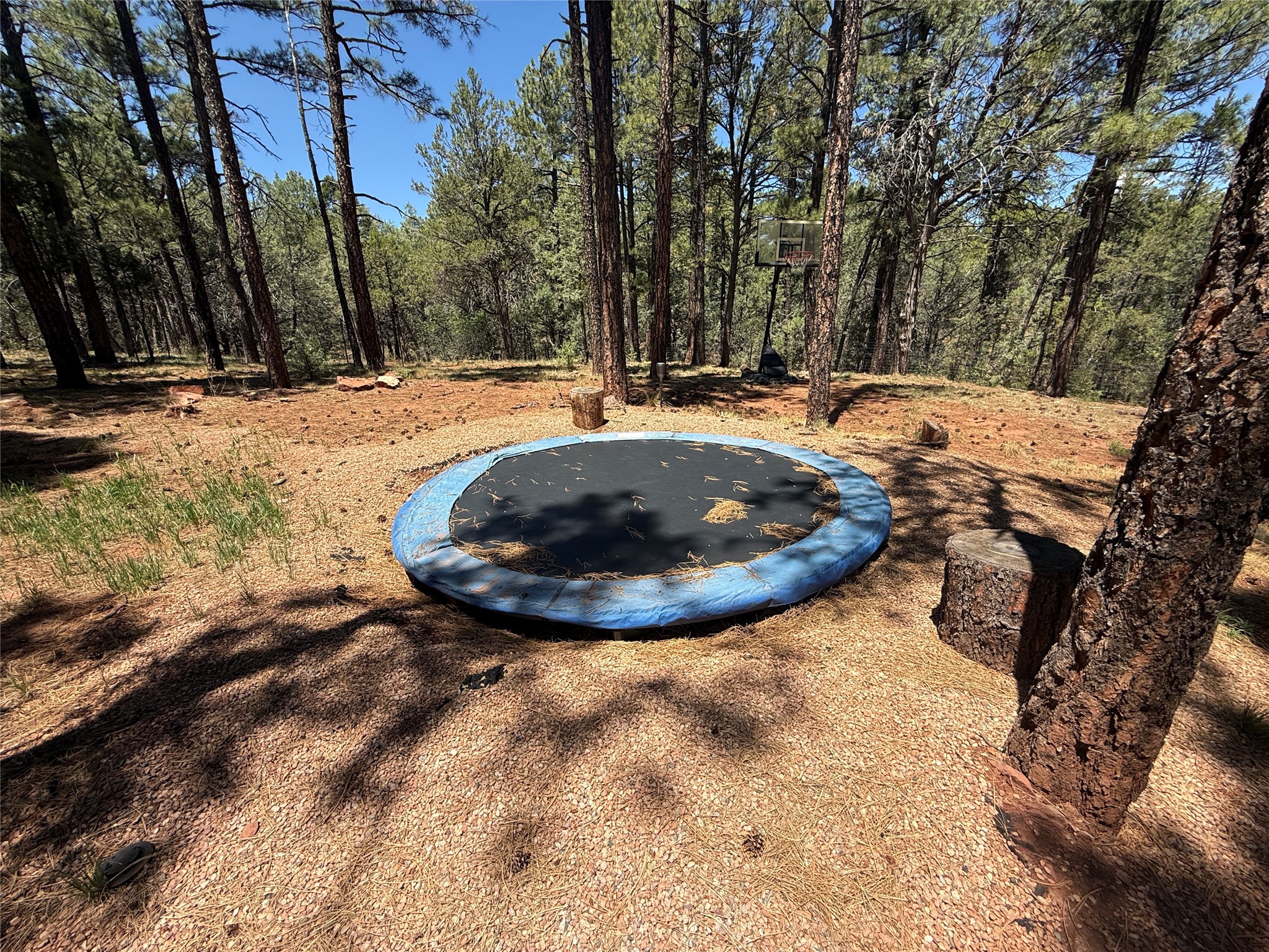 7 Log House Road Glorieta, NM 87535 - Photo 41 of 74 Gallery Image 41