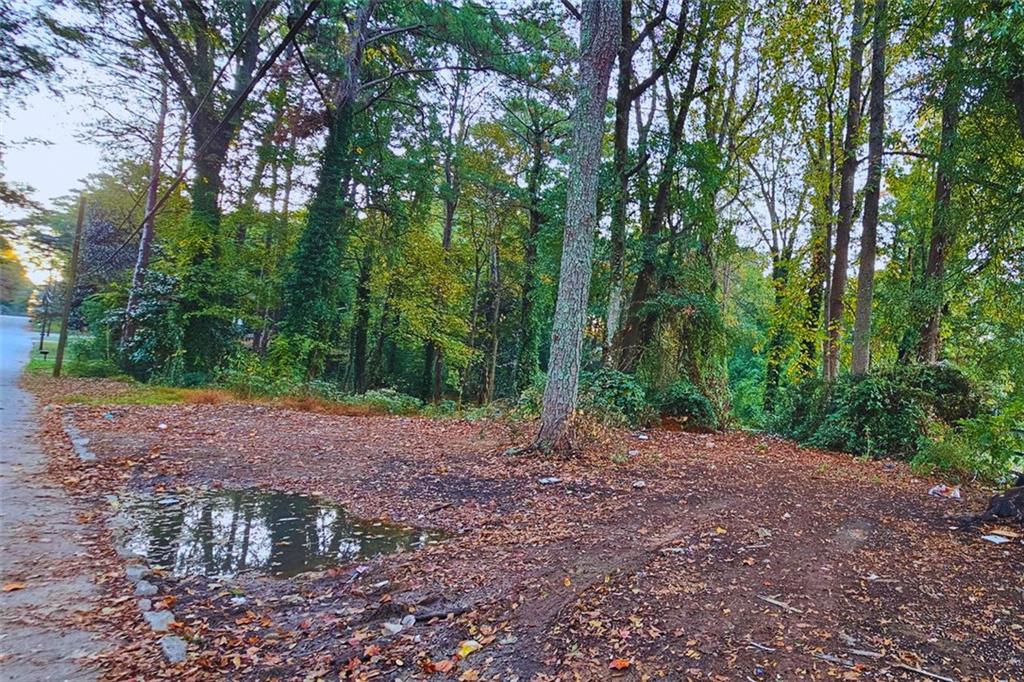 530 Pegg Road Southwest Atlanta, GA 30315 - Photo 3 of 5 a view of a yard with plants and trees