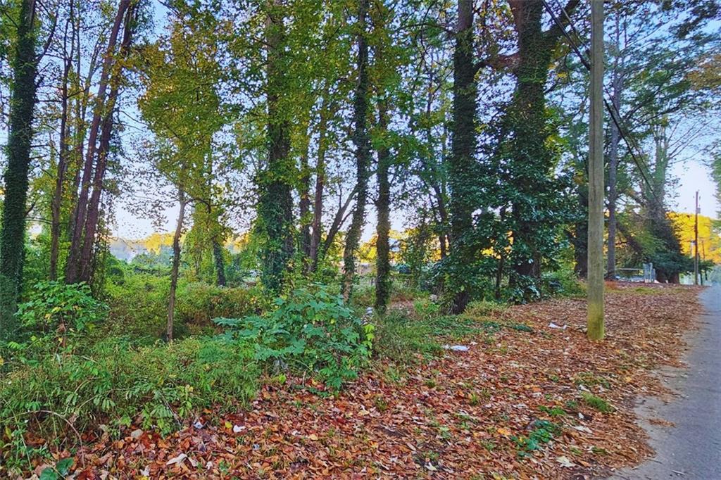 530 Pegg Road Southwest Atlanta, GA 30315 - Photo 5 of 5 a big yard with lots of green space and deers