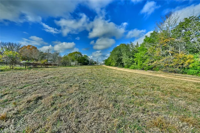a view of a field with an trees
