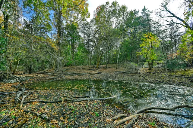 a view of outdoor space with trees all around