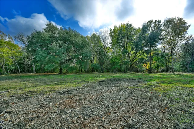 a view of outdoor space and yard