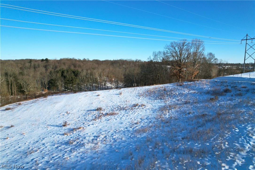 Fostor Road Dresden, OH 43821 - Photo 14 of 25 Yard layered in snow with a forest view