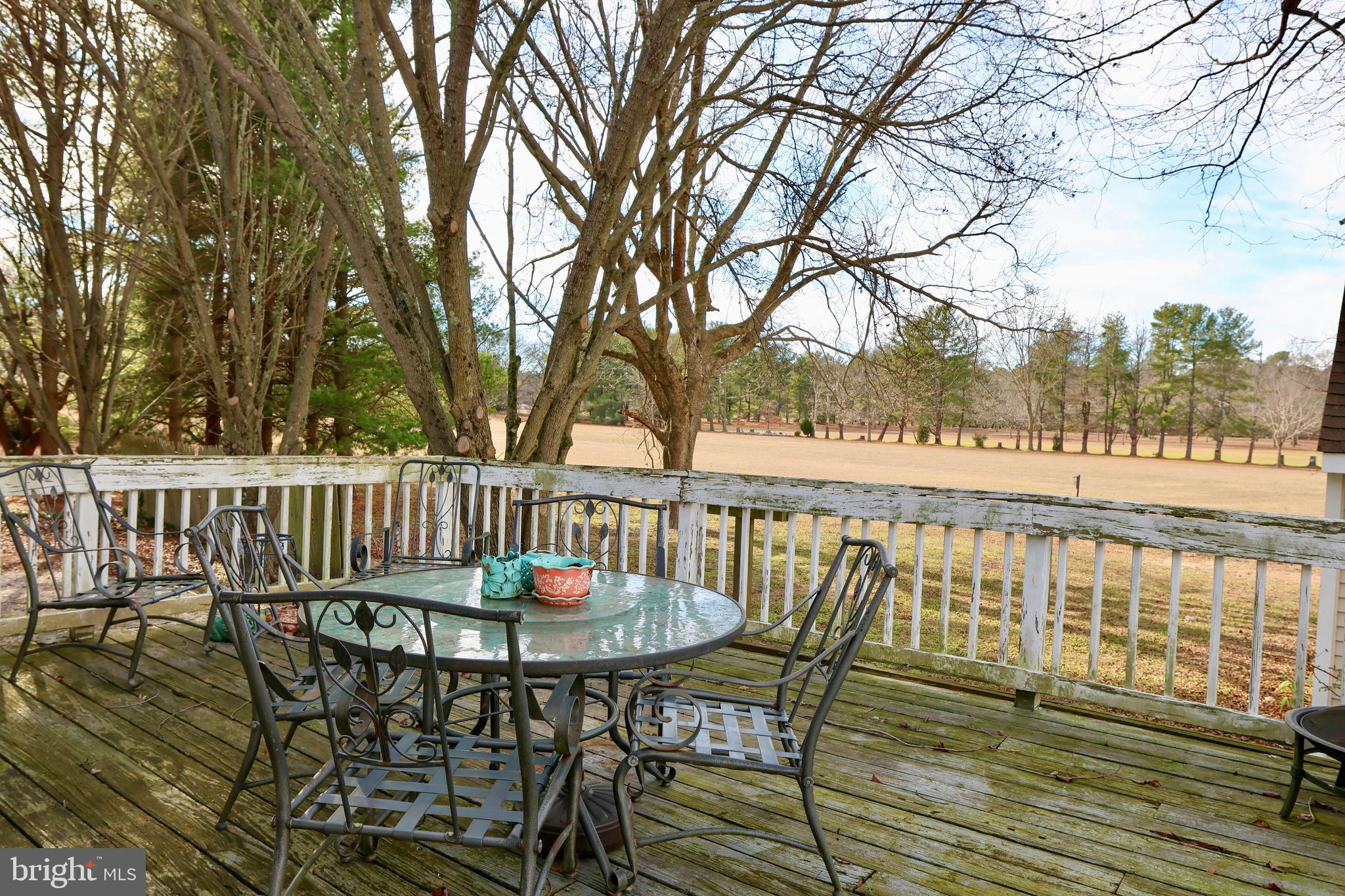 4610 Tyaskin Road Tyaskin, MD 21865 - Photo 22 of 31