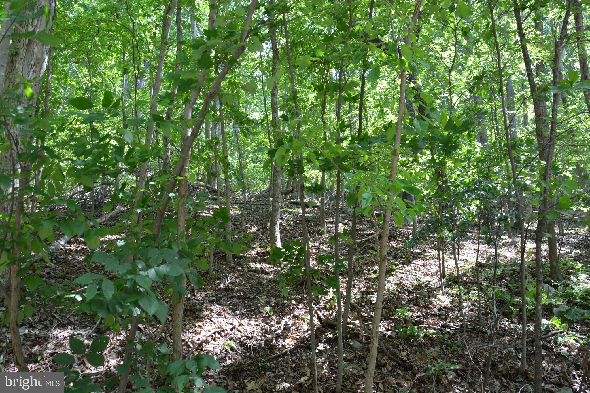 59 60 61 Baldwin Road Front Royal, VA 22630 - Photo 21 of 23