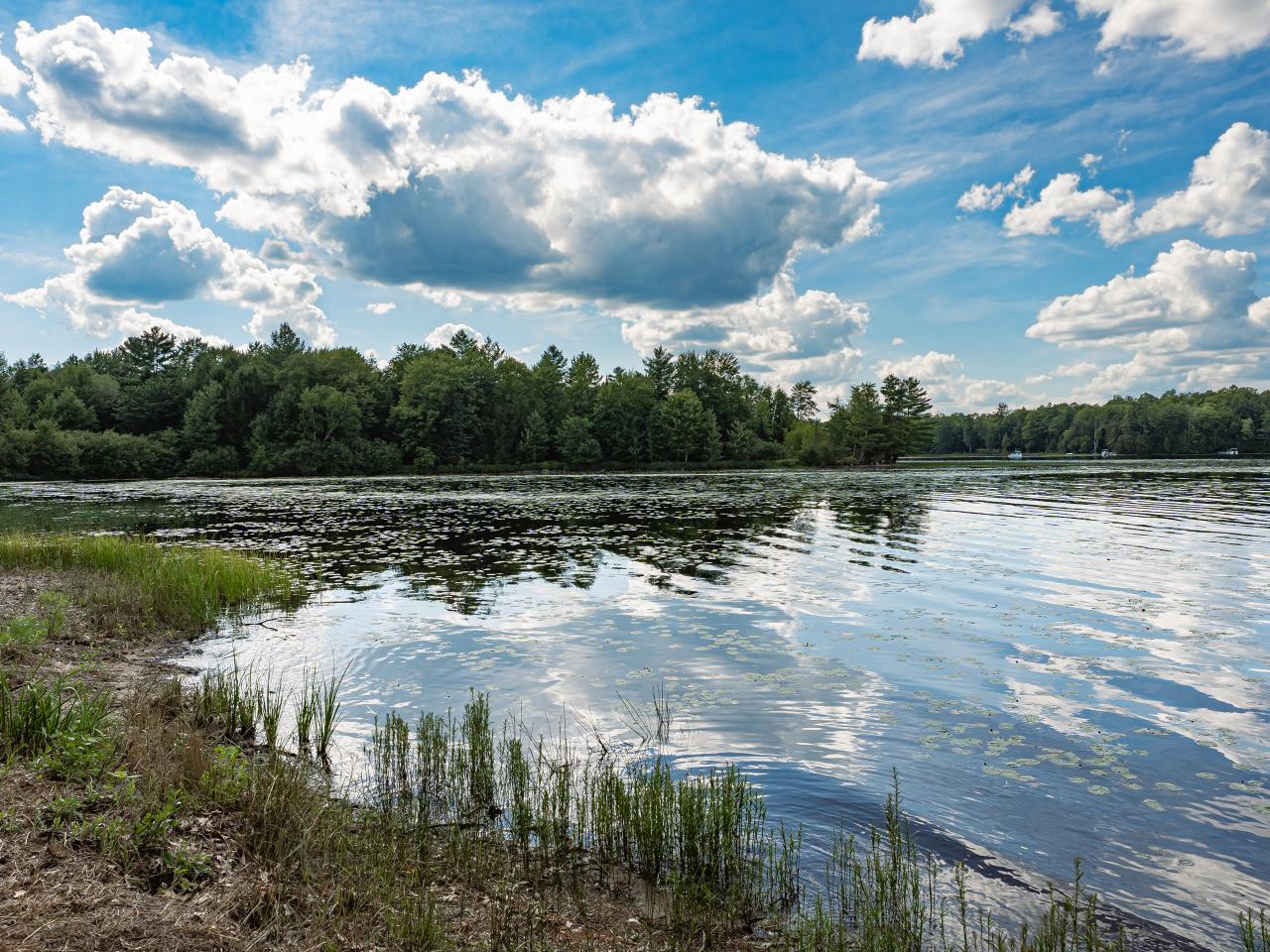 W11128 Maywood Road Deerbrook, WI 54424 - Photo 28 of 38 Gallery Image 28