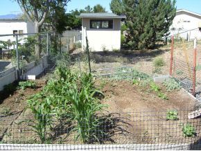 17435 East Bob White Road Spring Valley, AZ 86333 - Photo 5 of 5 Additional Photo