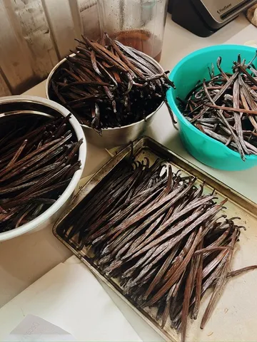 a view of outdoor space yard and porch